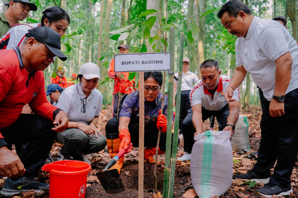 Merawat Bumi Lindungi Sumber Air, Giri Prasta Tanam 1000 Pohon Pala Di Alas Pala Sangeh